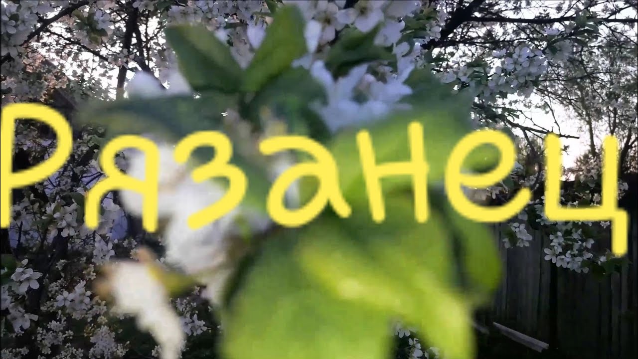 Покос травы. Бизнес на траве. Окос. Скос. Рязанец. - YouTube