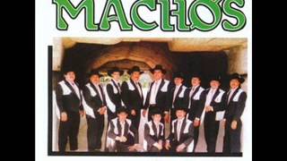 Watch Banda Machos Casimira video