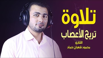 تلاوة هادئة😴 تريح الاعصاب محمود أواخر سورة البقرة l القارئ محمود شعبان حماد