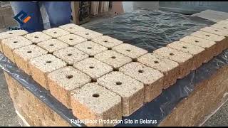 Pallet Block Machine: How to produce sawdust Euro blocks by waste wood?