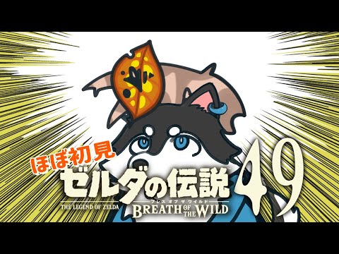 【はじめてのゼルダの伝説】＃49　あとはここいらのコログだけだぁ…【BotW】