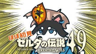 【はじめてのゼルダの伝説】＃49　あとはここいらのコログだけだぁ…【BotW】