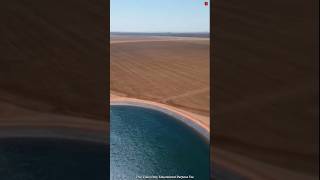 How Brazil Turned Dry Lands into Green Fields! 😮🌿#facts #ytshorts #trending
