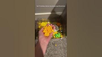 Day 77 of printing a duck per sub #3dprinting #subscribe #duck #duckarmy