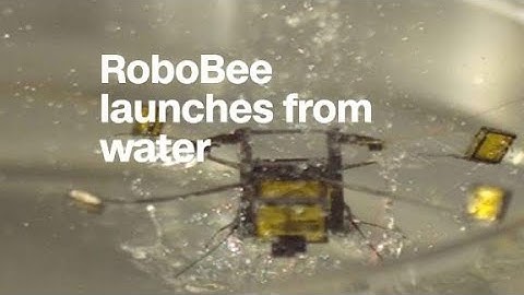 Robotic bee can jump off the surface of water