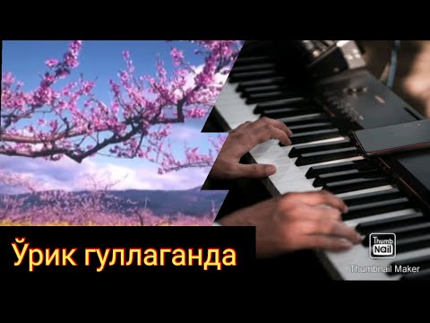 Ўрик гуллаганда. Song about orchard blossom 🌸🌸🌸