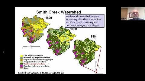 Use of prescribed fire in western juniper woodlands
