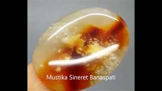 Mustika Sineret Banaspati