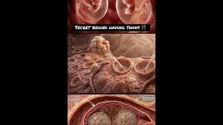 Secret behind having twins: How to I have twins? Watch this!