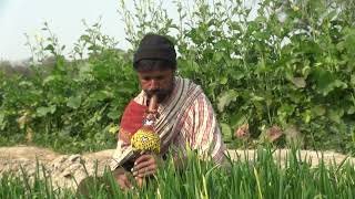 Mast Murli Song Pakpattan Te An Khaloti Fouja Jogi Bala B Nagin Jogi Studio