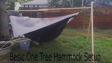 Basic One Tree Hammock Setup