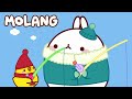 Molang - Funny Cartoons | The Baby Seal 🥰 Full Episodes | HooplaKidz TV