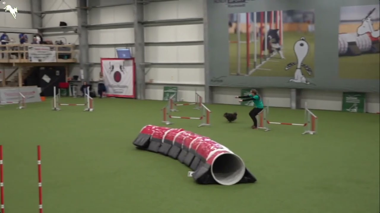 Agility German Classics Trostrunde Team "ERROR 404 - Parcours not found"