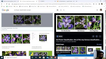 Machine Learning Lab - Program 9 : k-Nearest Neighbour algorithm to classify the iris data set.