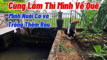 View Triệu Đô Trong Lòng Thành Phố, Nhà Vườn Nghỉ Dưỡng Yên Bình Cực Đẹp | NHÀ ĐẤT ĐỒNG NAI GIÁ RẺ