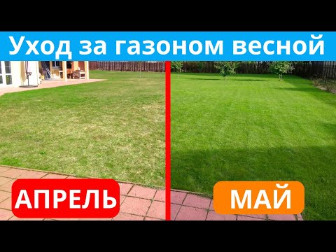 Видео: Осень Советы по уходу за газоном: Как создать безопасный для животных двор