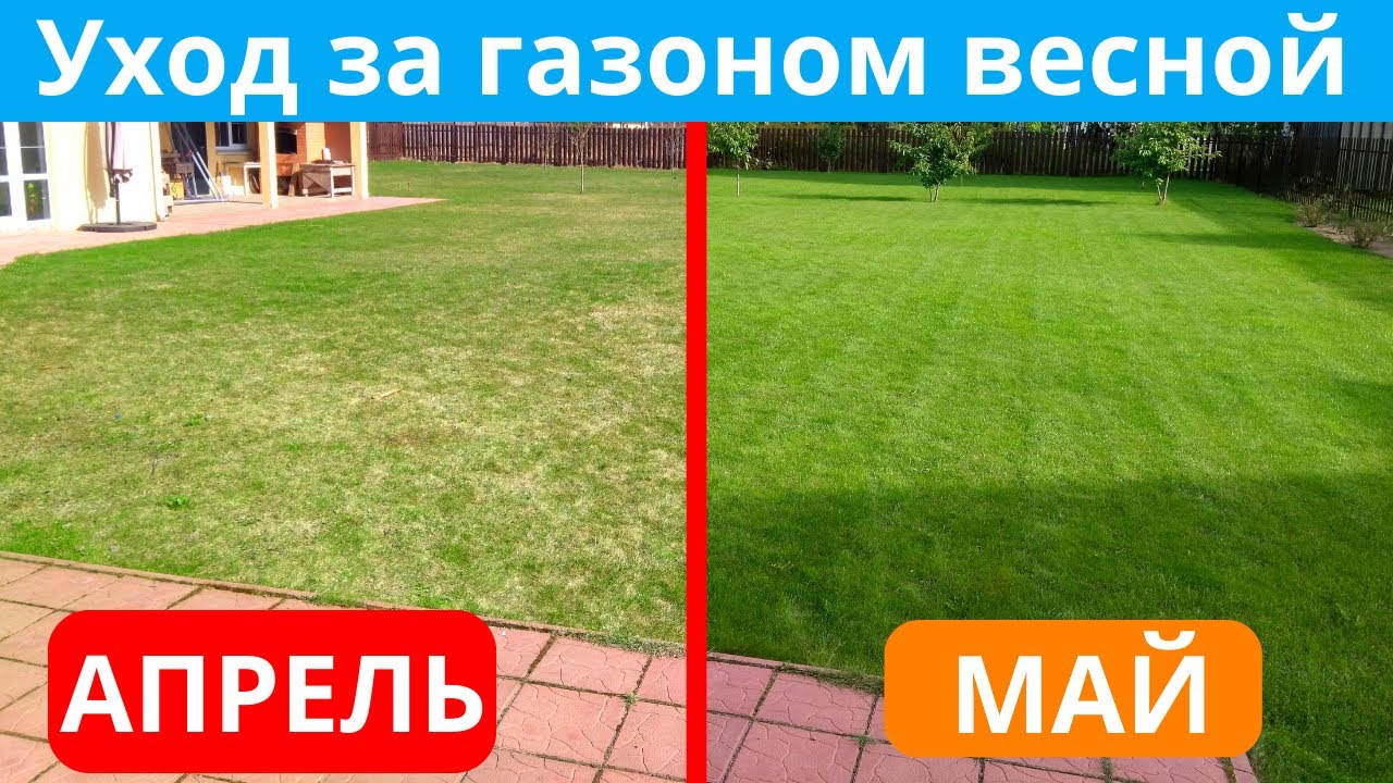 Оживляем газон весной: пошаговая инструкция | Дизайн участка (уральские-газоны.рф)
