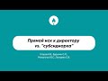 Прямой иск к директору vs. &quot;субсидиарка&quot;