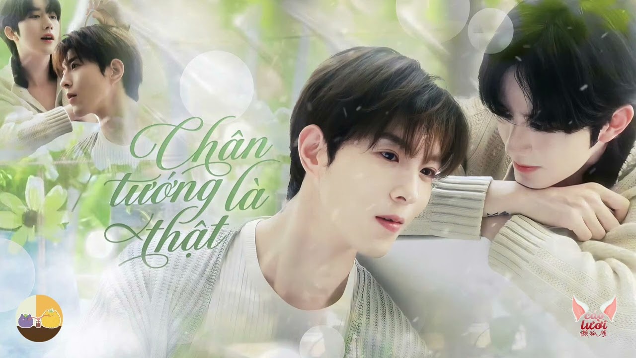 ♬ 1 HOUR || Ca khúc • Chân Tướng Là Thật 《真相是真》• Hoàng Tinh & Khâu Đỉnh Kiệt