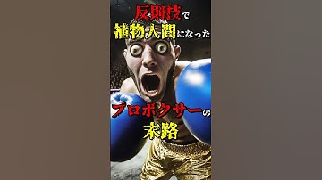 反則技で植物人間になってしまったプロボクサーの末路 #都市伝説 #雑学 #怖い話 #shorts