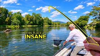 They Say This TN River Has 5,000 TROUT PER MILE...