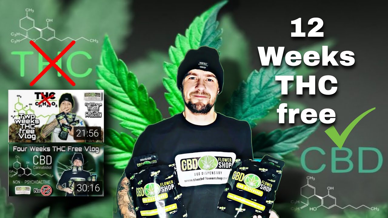 12 Weeks THC Free Using Products from the CBD flower shop UK YouTube