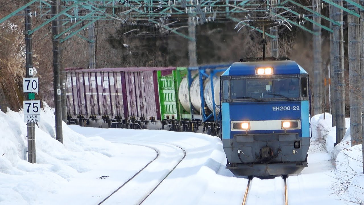 上越線 高崎線 EH200 貨物 他 水上 熊谷貨物ターミナル 北本 2022.2