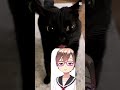 アイスになった僕 #capcut