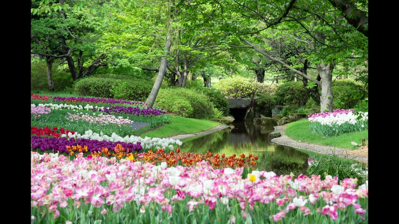 Seeking the Beloved - "Such Jesus is, and such his grace, Oh, may he shine on you!