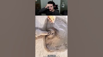 How to Make Turtle! 🤯