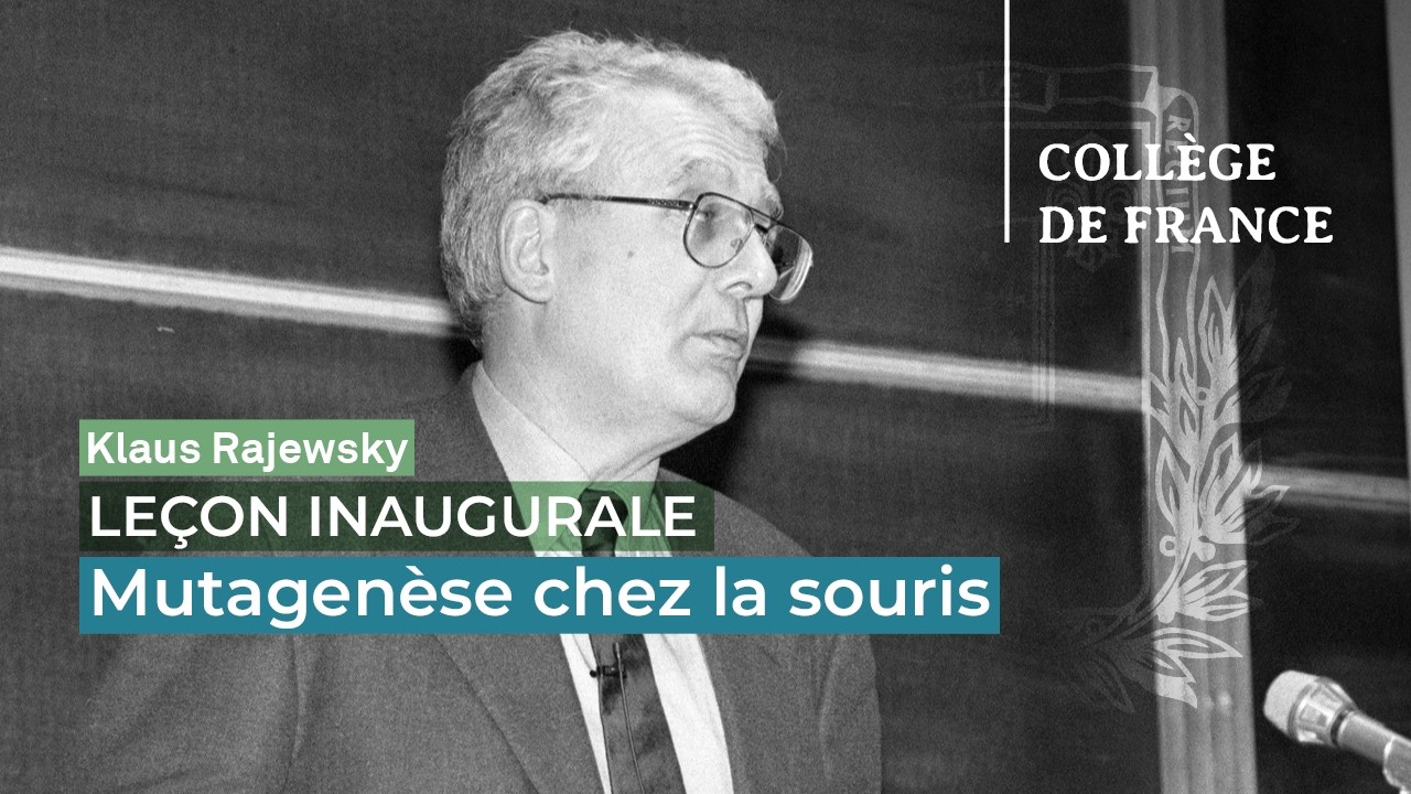 Mutagenèse chez la souris - Klaus Rajewsky (1996)
