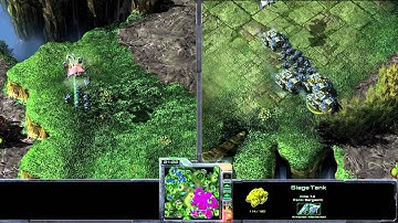 Drop Harrassment - Level 2 Pro Tip - IPL