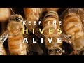 Keep the Hives Alive (Full Documentary)