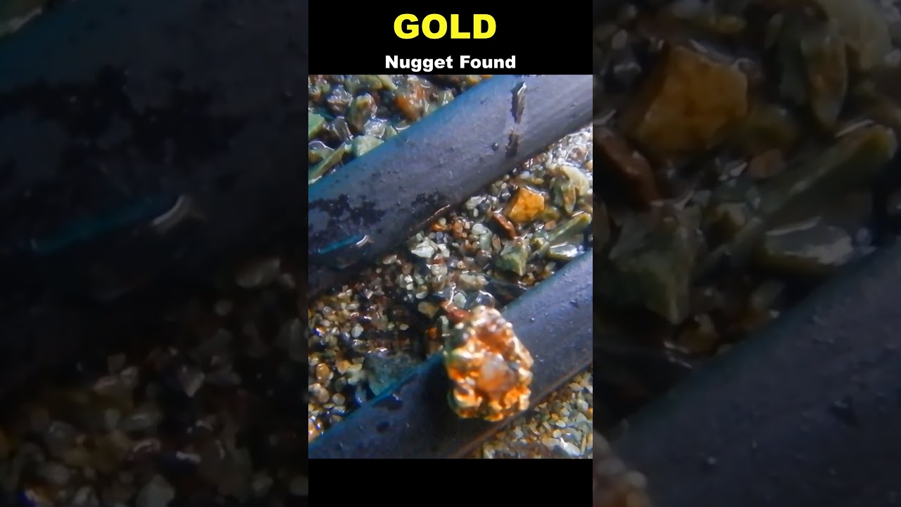 Gold Nugget Found in Sluice!