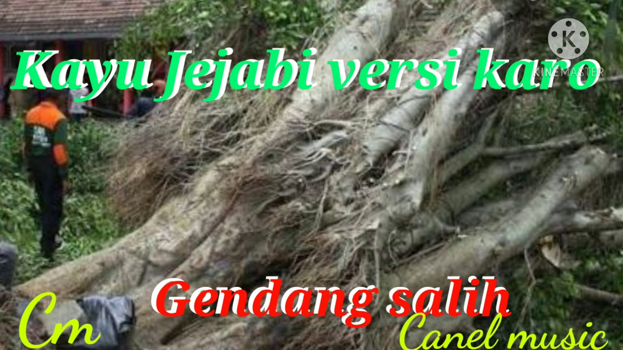Kayu jejabi versi karo