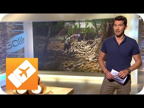 Delikatessen aus Sri Lanka: Kokosnuss im Eiskonfekt | Reisefieber Asien