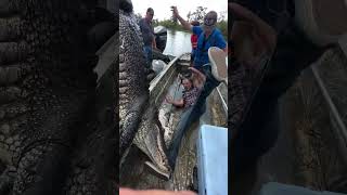 Ridge LANDRY’s big gator almost took out! #alligator #swamppeople