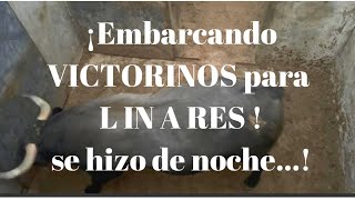 😨Embarcando VICTORINOS para CORRIDA DE TOROS en LINARES se hizo de noche…