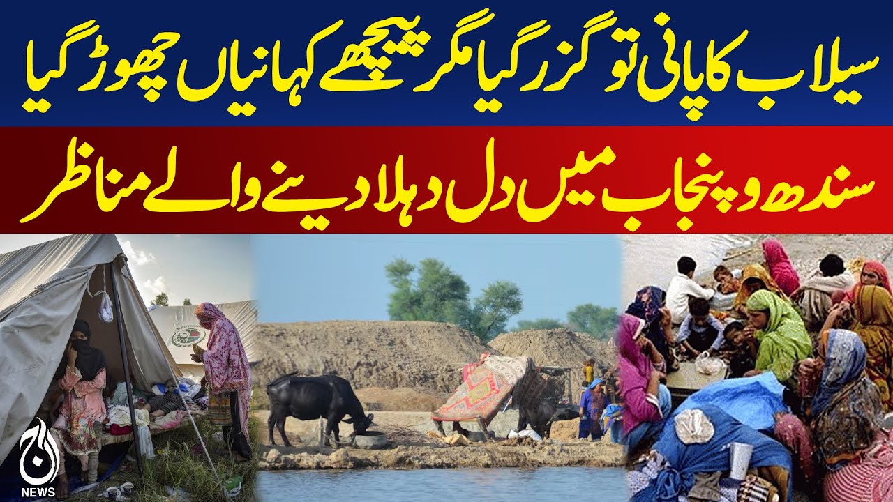 Flood destroys lands | Flood Relief | Natural Disaster - Pakistan news