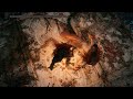 ELDEN RING. (302) (Leonino que me tiro y lo mate al final.) (Clip) (PS5.)