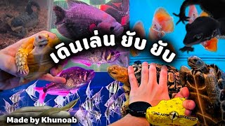 เดินเล่น ดูเหล่าสรรพสัตว์ !! | Fish Market at Chatuchak in Bangkok ❤️