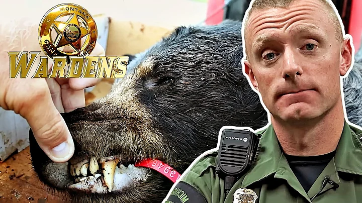 Wardens: Serving Warrants and Ice Fishing & Michigan Bears | FD Real
