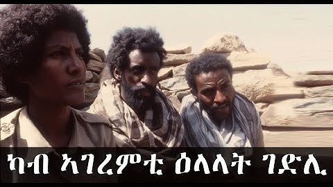 EMN - ካብ ኣገረምቲ ዕላላት ገድሊ  ( Eritrean Media Network )