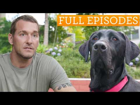 Sweetest Black Labrador Changes Teen Girl’s Life | Lucky Dog Double Episode