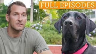 Sweetest Black Labrador Changes Teen Girl’s Life | Lucky Dog Double Episode