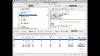 83. Fuzzing With Zap