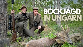 Abnorme Böcke in Ungarn 2024 I Roebuck hunting in Hungary