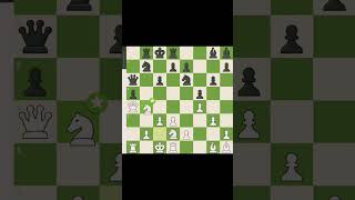 CHESS 960 BRILLIANT #chess #chessgame #lichesstitledarena #siciliandefense #scandinaviandefense