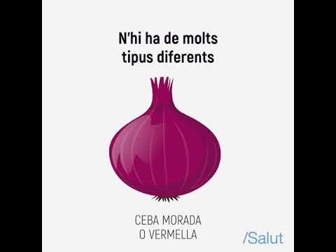 Vídeo: Amaniment Superior De Cebes: Com Alimentar El Sevok? Com Regar-lo Amb Fertilitzants Després De La Germinació? Com Alimentar-se De La Ploma I Del Cap Si La Ceba Creix Malament?