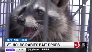 Rabies Vaccine Bait Drop Begins In Vermont